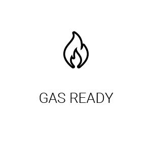 Gas